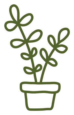 Peperomia in pot, illustration, vector on a white background.のイラスト素材
