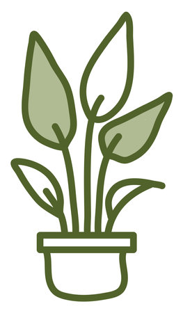 Pothos in pot, illustration, vector on a white background.のイラスト素材