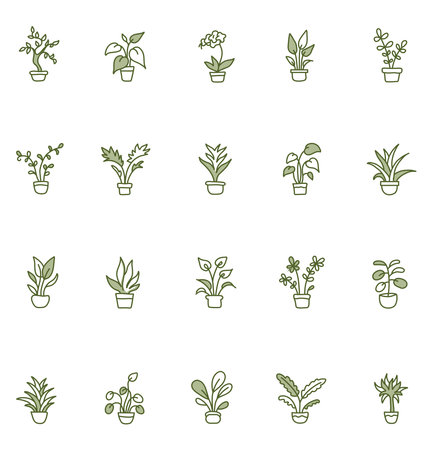 Green plants in pots, illustration, vector on a white background.のイラスト素材