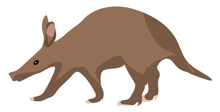 Aardvark animal, illustration, vector on a white background.のイラスト素材