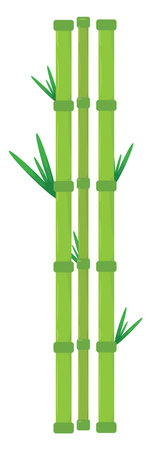 Bamboo sticks, illustration, vector on a white background.のイラスト素材