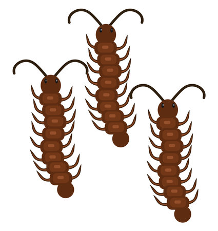 Three centipeds, illustration, vector on a white background.のイラスト素材