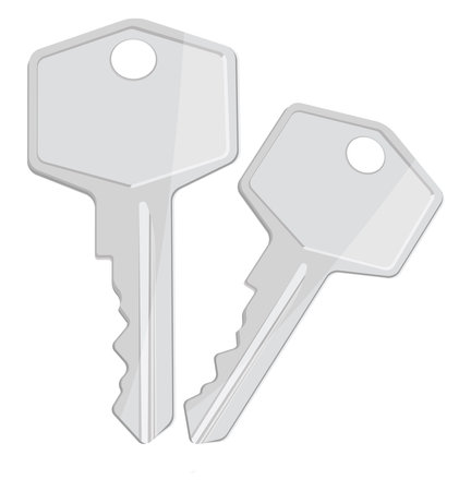 Two silver keys, illustration, vector on a white background.のイラスト素材