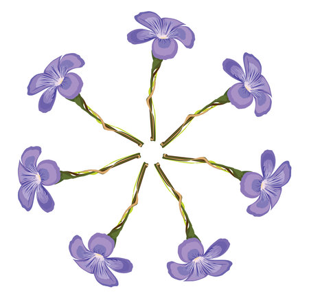 Lilac flowers, illustration, vector on a white background.のイラスト素材