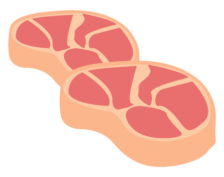 Slices of meat, illustration, vector on a white background.のイラスト素材