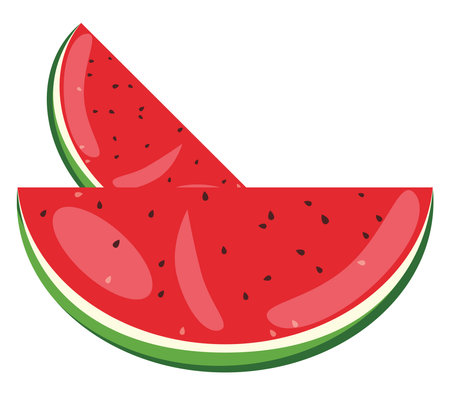 Watermelon slices, illustration, vector on a white background.のイラスト素材
