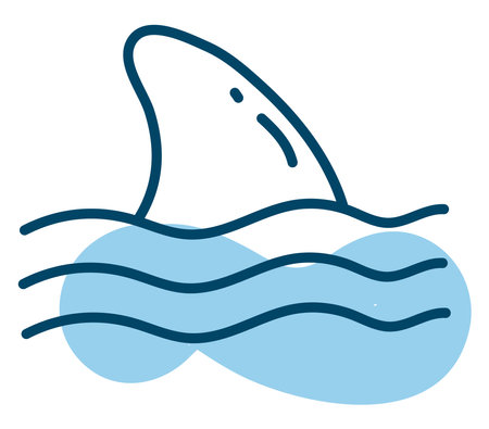 Ocean shark, illustration, vector on a white background.のイラスト素材