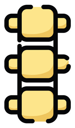 Human spine, illustration, vector on a white background.のイラスト素材