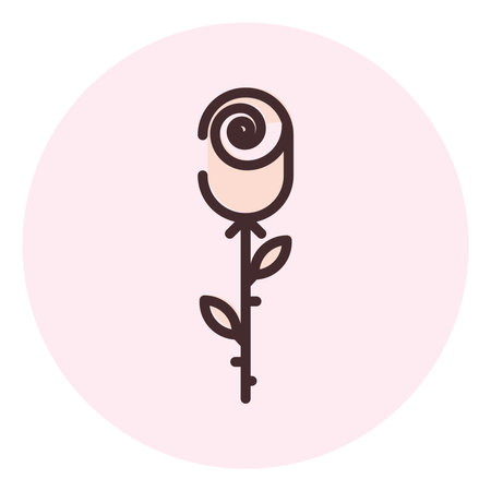 Valentine rose flower, illustration, vector on a white background.のイラスト素材