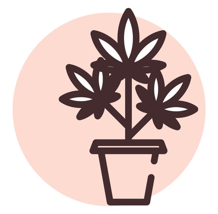 Marihuana in a pot, illustration, vector on a white background.のイラスト素材