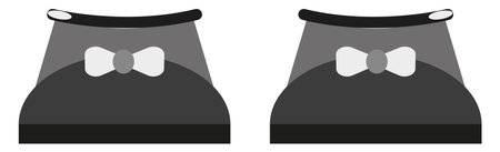 Girl shoes, illustration, vector on a white background.のイラスト素材