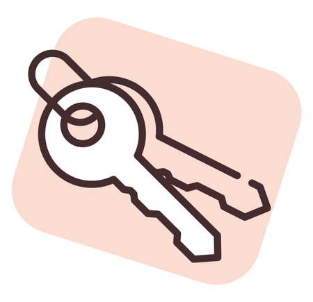 Cyber security keys, illustration, vector on white background.のイラスト素材