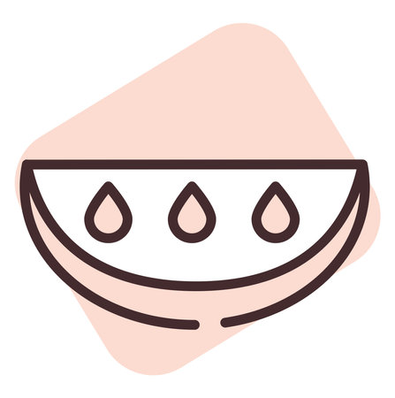 Summer watermelon, illustration, vector on white background.のイラスト素材
