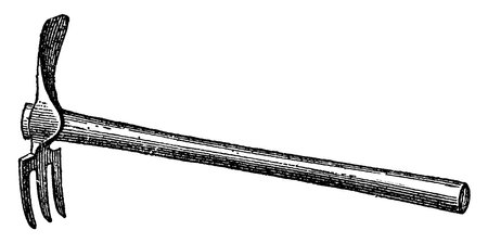 A tool used for breaking up the surface soil, the three-pronged end being used for the looser parts,...