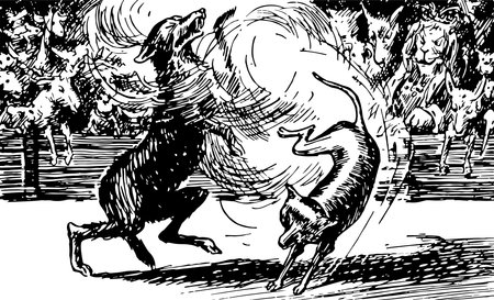 Two foxes in the middle and other animals looking at them, vintage line drawing or engraving illustrationのイラスト素材