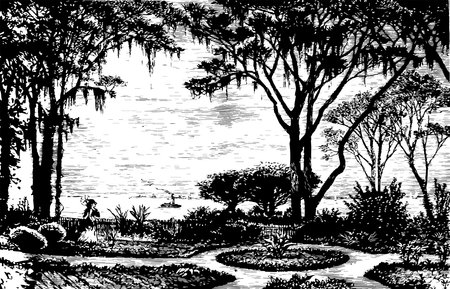 This is a beautiful garden where a girl is roaming, vintage line drawing or engraving illustration.のイラスト素材