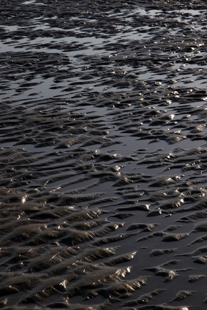 natureの写真素材