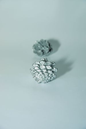 a  blue and silver christmas decorations seedの写真素材