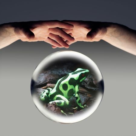 crystal ballの写真素材