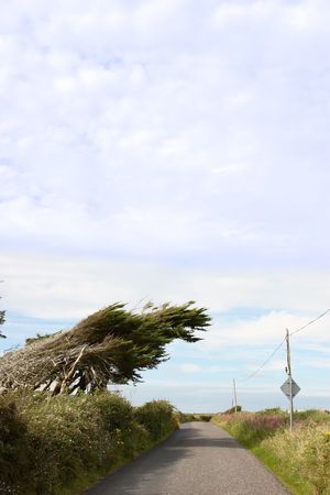 a windy coastal road on the west coast of irelandの写真素材