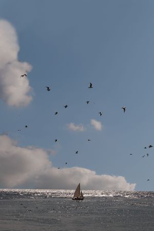 a yacht sailing in youghal bay irelandの写真素材
