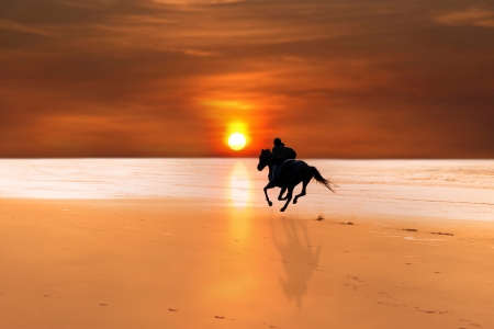 silhouette of a horse and rider galloping on ballybunion beach at sunset in kerry irelandの写真素材