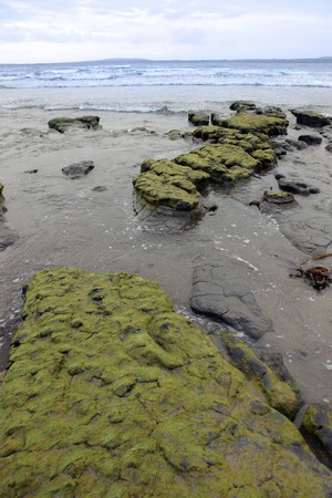 mud banks on the west coast of ireland near ballybunionの写真素材
