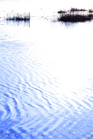 a rippled water surface with rushes and reflections at sunsetの写真素材