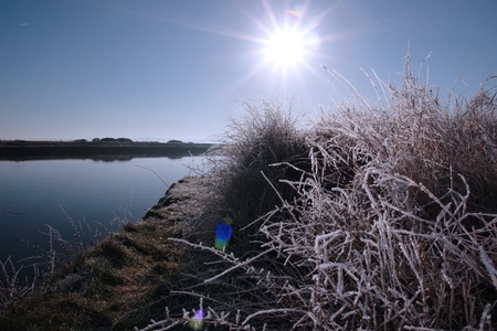 icy twigs and branches in the snow against a sun rising in blue river and sky backgroundの写真素材