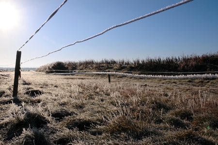 ice coated wire fence in a farm field on a winters day in irelandの写真素材