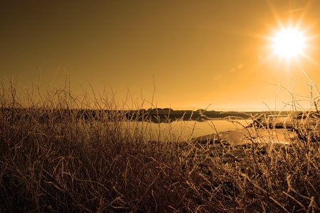 icy twigs and branches in the snow against a orange sun rising in river and sky backgroundの写真素材