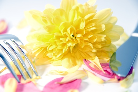silver fork and knife isolated with dahlia and rose petals for concept on romantic diningの写真素材