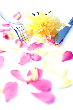 silver fork and knife isolated with dahlia and rose petals for concept on romantic diningの写真素材