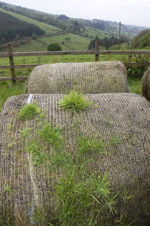 old round bales in lush irish countryside landscape at glenough county tipperary irelandの写真素材