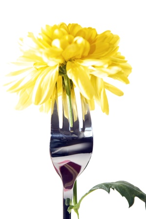 silver fork stuck into dahlia for concept on romantic dining against a white backgroundの写真素材