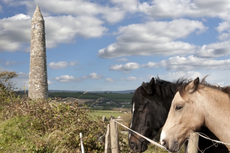 two Irish horses and ancient round tower in the beautiful Ardmore countryside of county Waterford Irelandの写真素材