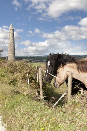 two Irish horses and ancient round tower in the beautiful Ardmore countryside of county Waterford Irelandの写真素材