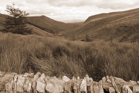 view of long grass and winding road with green mountains in county Donegal Ireland in sepia