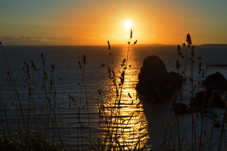 beautiful sunset over the virgin rock with wild tall grass on the wild atlantic wayの写真素材