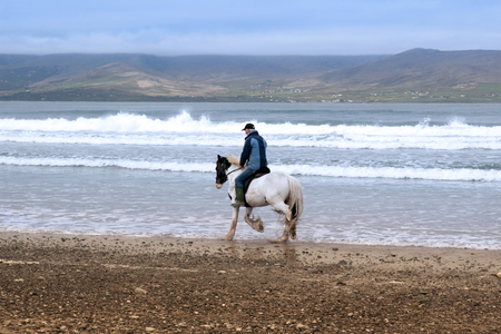 horse and rider at the maharees a beautiful beach in county Kerry Irelandの写真素材