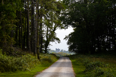 view of ross castle at the end of a killarney forest path in irelandの写真素材