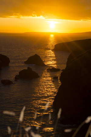 beautiful sunset over the coastal rocks with wild highl grass on the wild atlantic wayの写真素材