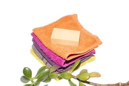 soap on facecloths of various shades with natural green plantの写真素材