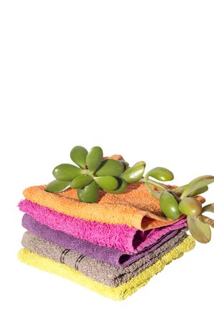 facecloths of various shades with natural green plantの写真素材