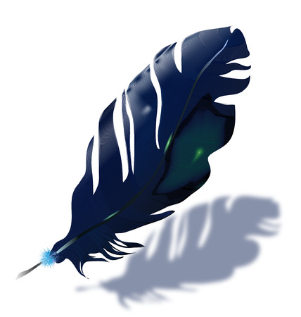 dark blue featherのイラスト素材