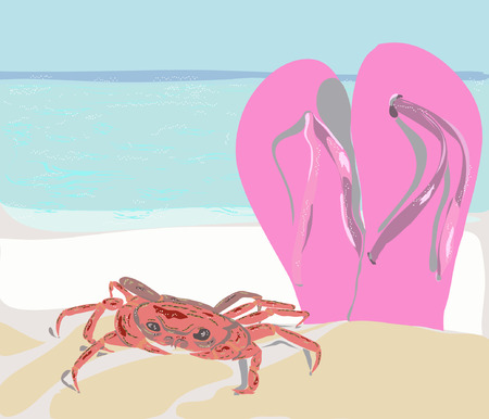 crab and pink sandals on the beach sandのイラスト素材