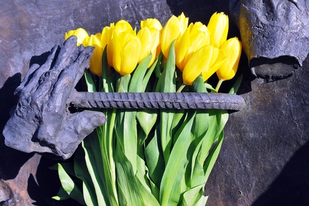 A monument of the Evacuation of Warsaw Ghetto Fightersの写真素材