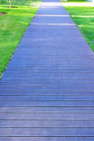 clean lawnの写真素材