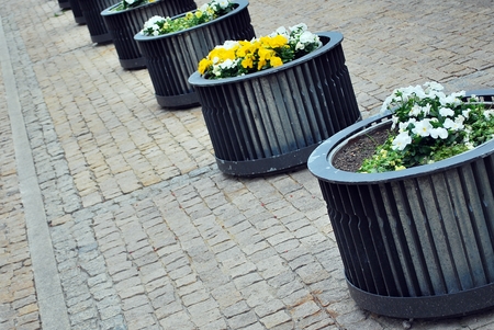 flower potsの写真素材