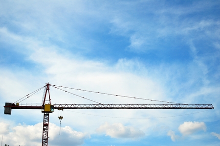 crane birdの写真素材